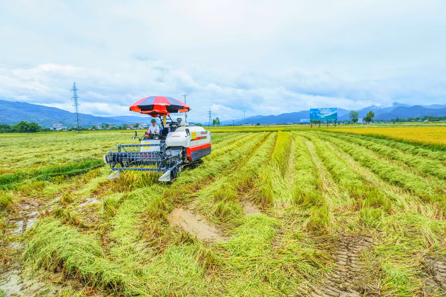 Sự xuất hiện của máy móc hiện đại đã giúp việc thu hoạch của người dân diễn ra nhanh chóng, thuận tiện hơn.