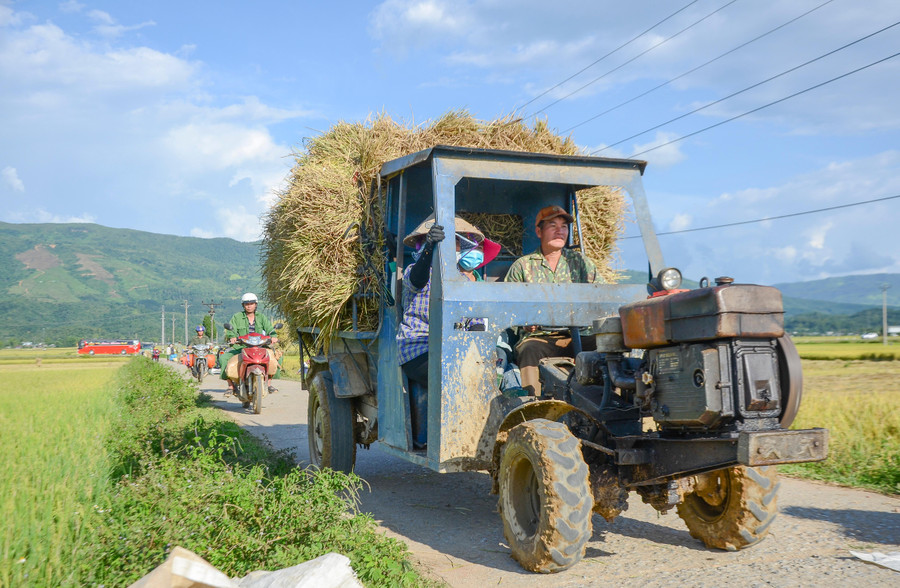 Những năm gần đây, chính quyền các địa phương đã quan tâm đầu tư nên hiện nay toàn bộ hệ thống giao thông nội đồng ở đây đều được bê tông hóa, tạo thuận tiện cho bà con.