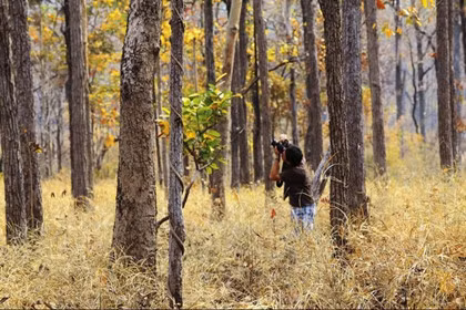 Nhung mua thay la quyen ru nhat Viet Nam - Anh 9