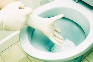 Du meo tay trang va khu sach mui hoi cho bon cau o vang - Anh 1