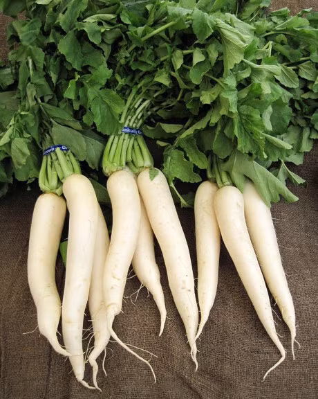 10 loai rau cu qua nguoi co nguy co 