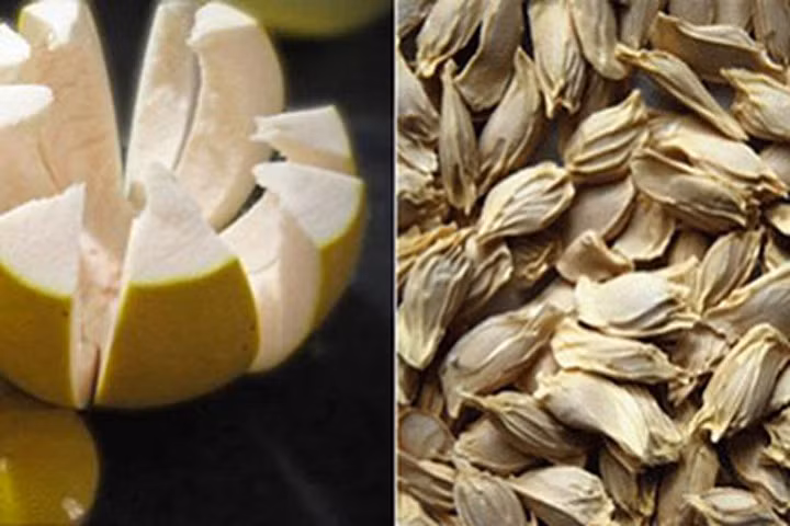 Hạt bưởi - vị thuốc quý thần kỳ từ thiên nhiên