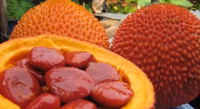 Những giá trị dinh dưỡng ít ai biết về quả gấc