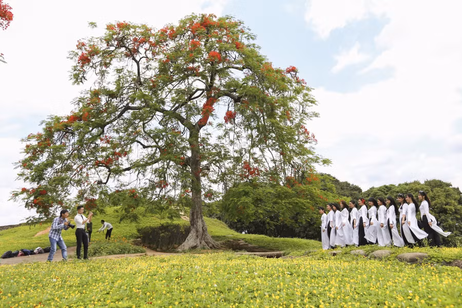 Nhiều bạn trẻ cũng lựa chọn nơi đây để ghi lại khoảnh khắc tuyệt đẹp trên "ngọn đồi lửa" cho cuốn kỷ yếu...