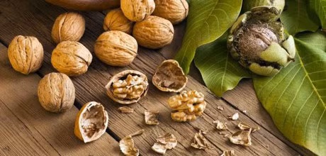 6 thuc pham bo nao giup tang cuong chi so IQ - Anh 3