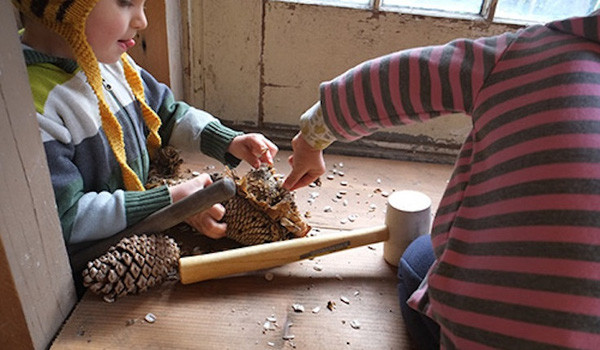 Truong hoc trong rung 11