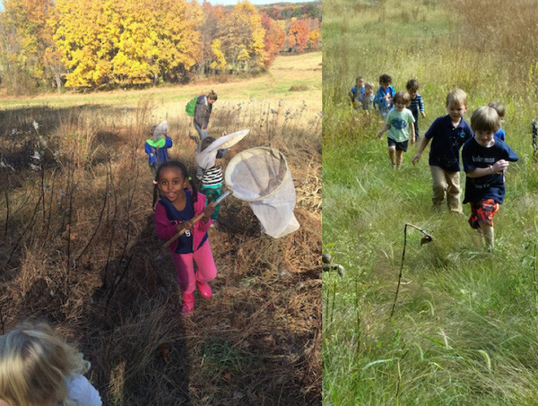 Truong hoc trong rung 8