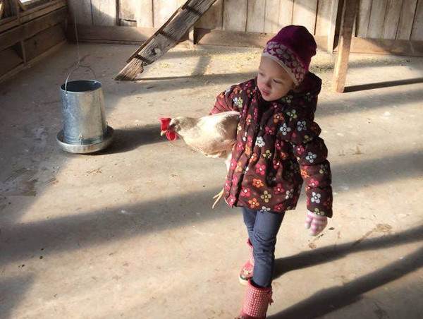 Truong hoc trong rung 5