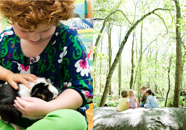 Truong hoc trong rung 3