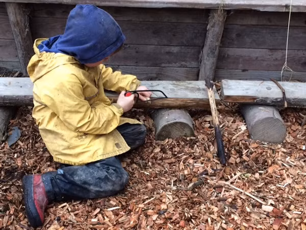 Truong hoc trong rung 9