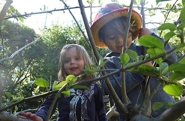 Truong hoc trong rung 10