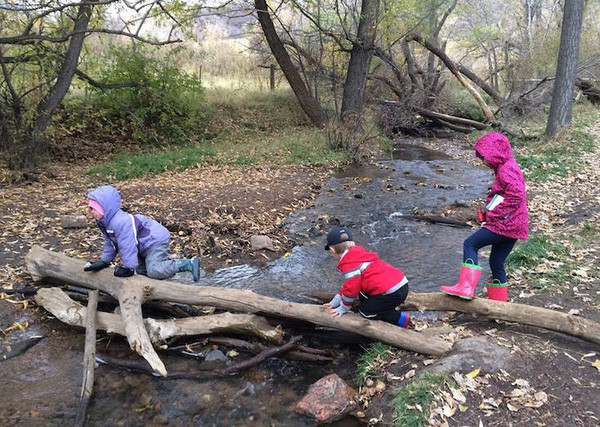 Truong hoc trong rung 7