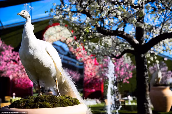 Há hốc mồm trước bữa tiệc sinh nhật 133 tỷ của tiểu thư nước Mỹ - Ảnh 5.