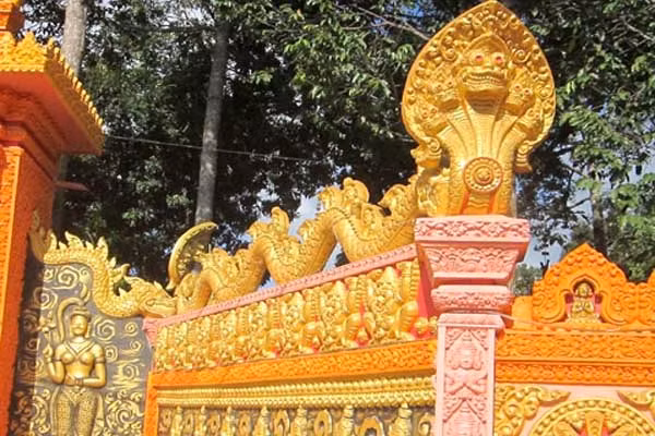 Những chuyện thần bí về loài rắn 5 đầu trên thế giới ảnh 1