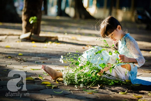 Nhan sắc thần tiên, thoát tục của cô bé Hà Nội bên cúc họa mi