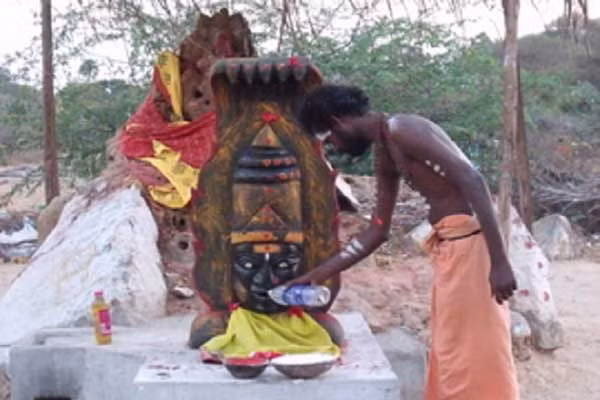 Những chuyện thần bí về loài rắn 5 đầu trên thế giới ảnh 5