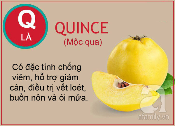 tac dung cua cac loai qua tu a den z tac dung cua cac loai qua tu a den z