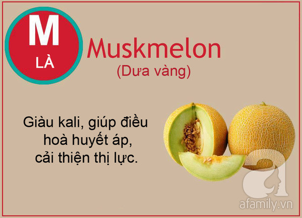 tac dung cua cac loai qua tu a den z tac dung cua cac loai qua tu a den z