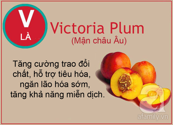 thuc pham tu a den z thuc pham tu a den z