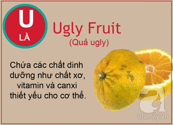 thuc pham tu a den z thuc pham tu a den z