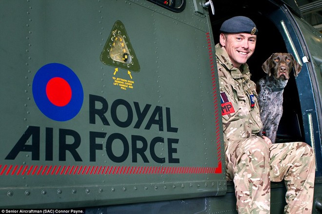 Trung sĩ Tanner, cựu chiến binh Afghanistan, ngồi cạnh chú chó nghiệp vụ Hertz trên trực thăng Puma ở căn cứ RAF Benson, hạt Oxfordshire. Đây là tác phẩm đoạt giải "Hình ảnh của năm" của nhiếp ảnh gia Connor Payne. Khoảnh khắc khác lạ về lực lượng không quân Anh