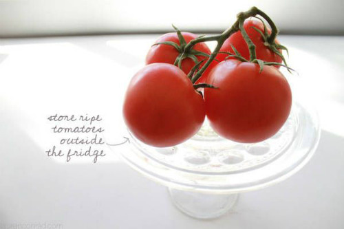 471ff45064bb840b468506513a8874b1_1442076