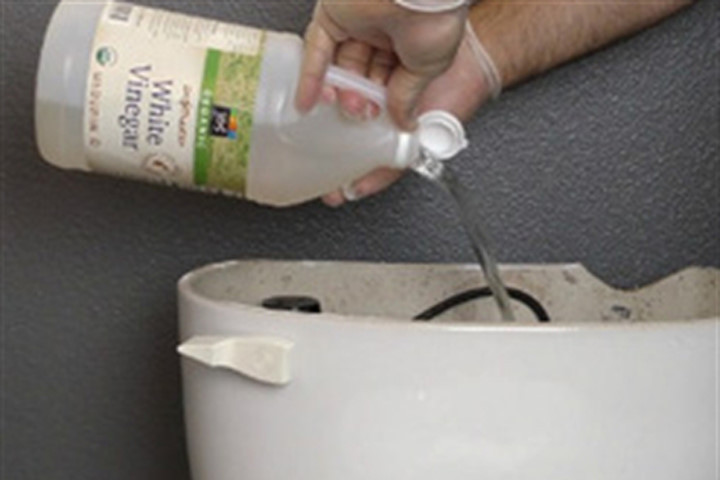 Toilet sẽ không còn màu vàng bẩn và mùi khó chịu, chỉ nhờ đúng 1 nguyên liệu "thần kỳ"