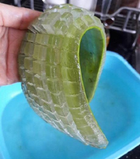 Cách nấu nước nha đam ngon ngọt, không lo đắng nhớt mà còn trẻ hóa da hiệu quả - Ảnh 3 Cach nau nuoc nha dam ngon ngot, khong lo dang nhot ma con tre hoa da hieu qua - Anh 3