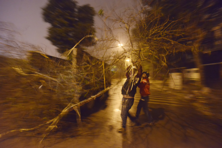 Giá mỗi cây, cành đào thường được đội lên rất nhiều vì chi phí vận chuyển. Anh Tú, một dân buôn cho biết, mua bán đào rừng giá cả không ổn định, còn tùy vào khách và dáng mỗi cây.