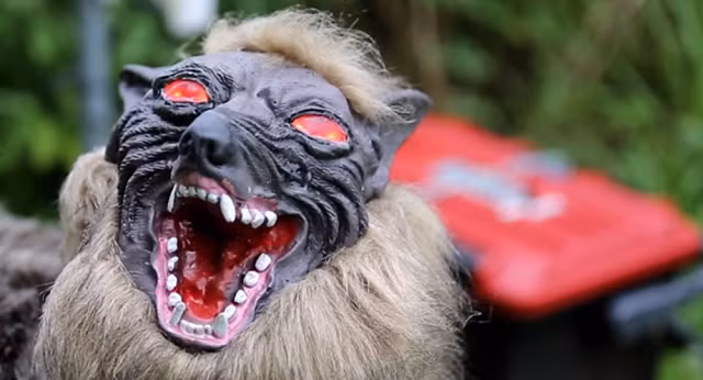 Robot giúp bảo vệ mùa màng ở Nhật