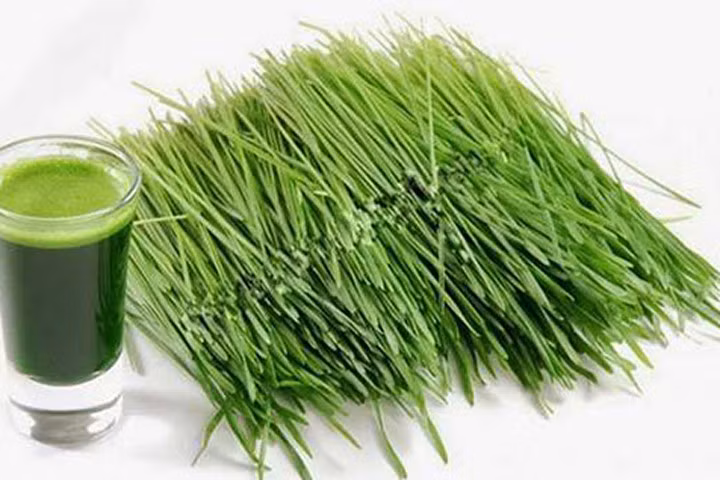 Lá hẹ xoa vào nướu có giúp trẻ giảm đau khi mọc răng?