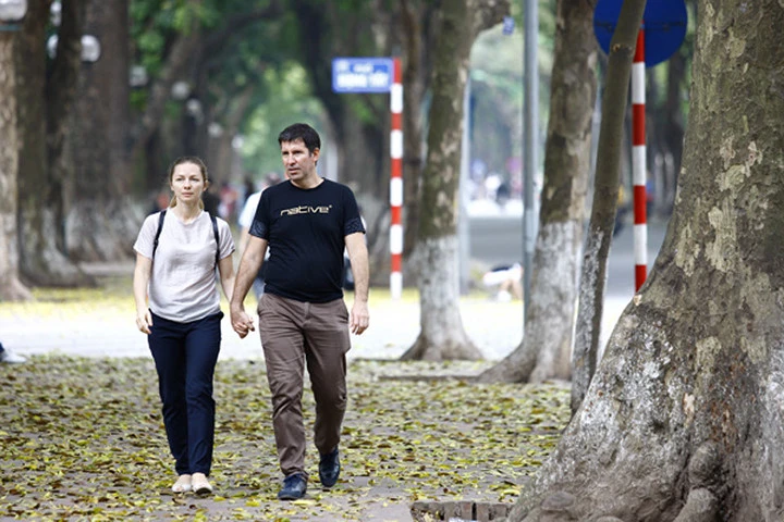 Ngỡ ngàng "thu tháng tư" trải vàng trên con phố đẹp nhất Hà Nội