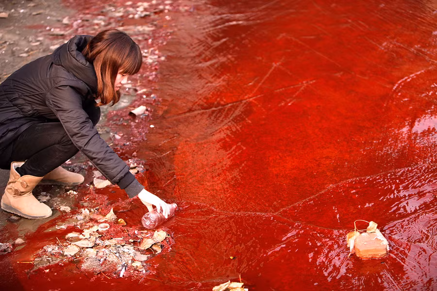 Một phóng viên đang lấy mẫu nước trên một con sông bị ô nhiễm tại tỉnh Hà Nam, Trung Quốc.