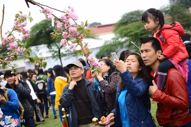 Võ sĩ sumo đấu vật giữa Hoàng thành Thăng Long