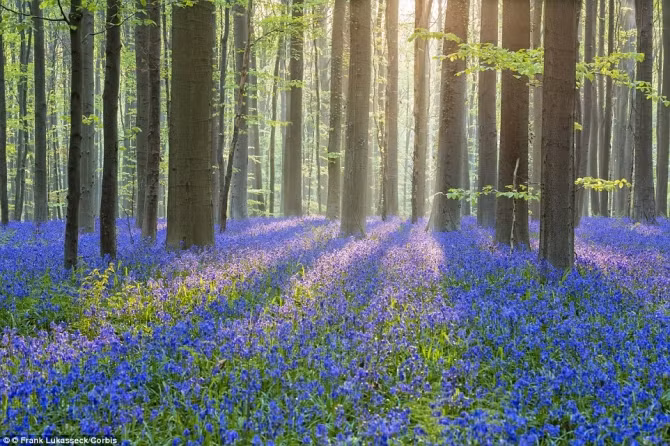 Chiêm ngưỡng 10 vườn hoa đẹp nhất thế giới - Ảnh 4