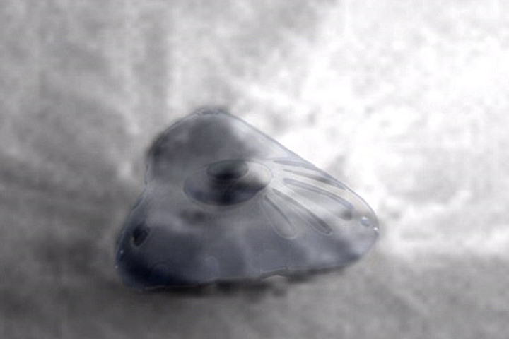 Dân săn lùng UFO tuyên bố phát hiện ra một tàu mẹ trên sao Hỏa