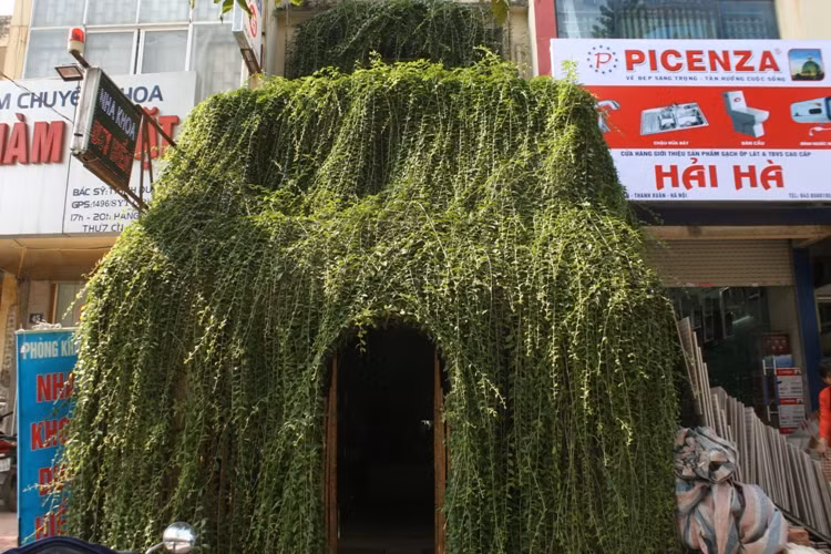 Bao trùm ngôi nhà là một màu xanh mát mắt bởi dây leo chằng chịt.
