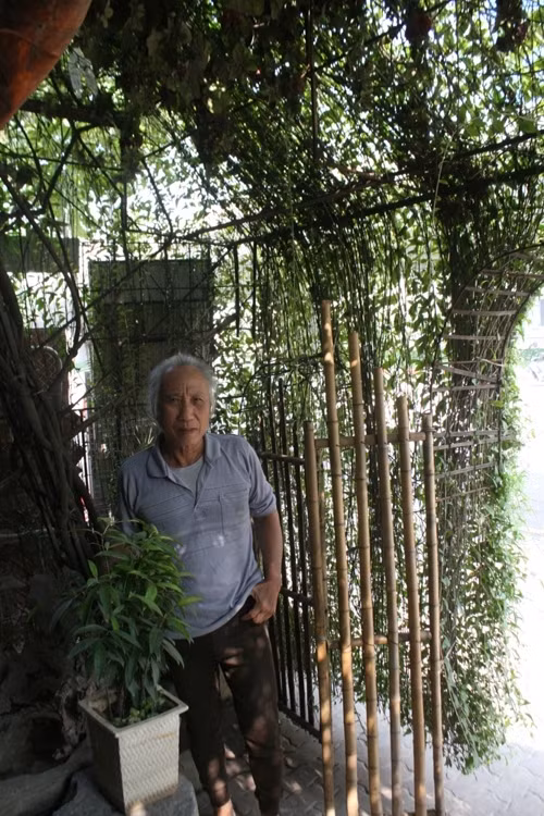 Cận cảnh ngôi nhà 