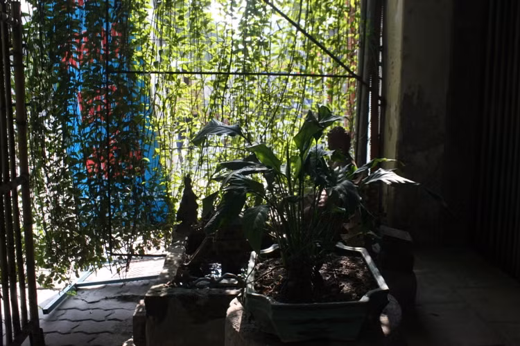 Cận cảnh ngôi nhà 