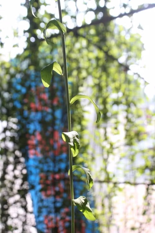 Cận cảnh ngôi nhà 