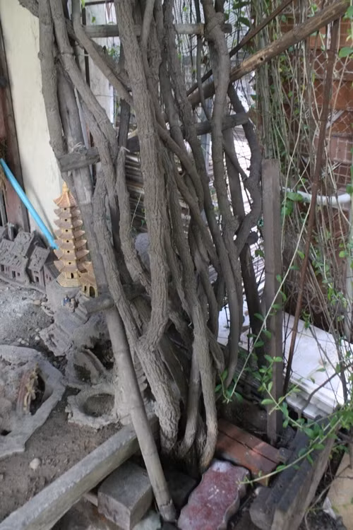 Cận cảnh ngôi nhà 