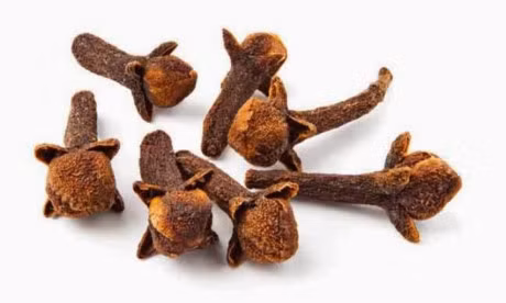 6 loai thao moc co kha nang tieu diet sach ky sinh trung sinh soi nay no trong co the - Anh 7