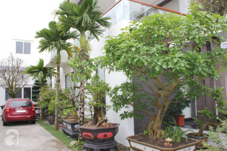 Ngôi nhà 500m2 đầy cây xanh có giá 3 tỷ đồng giữa lòng Đà Nẵng - Ảnh 19 Ngoi nha 500m2 day cay xanh co gia 3 ty dong giua long Da Nang - Anh 19