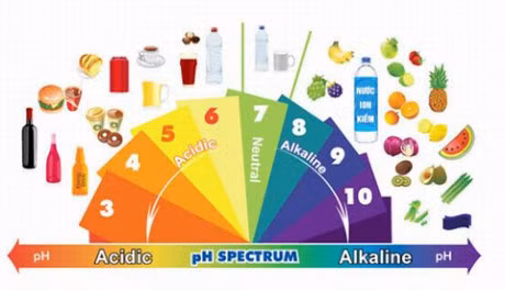 Ly do nguoi Nhat uong nuoc ion kiem giau Hydro hang ngay - Anh 1