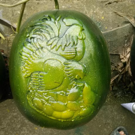 Nhung loai trai cay doc la, dep mat cho mam ngu qua ngay Tet - Anh 1