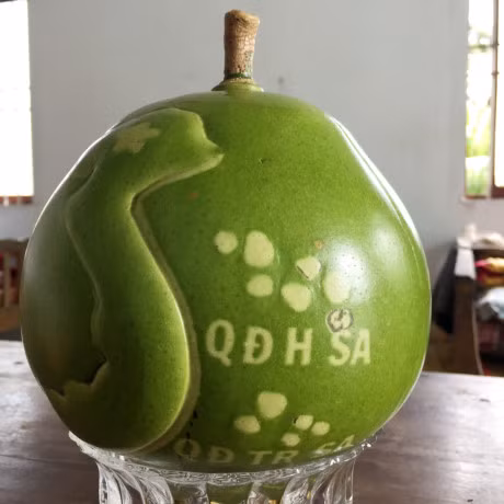 Nhung loai trai cay doc la, dep mat cho mam ngu qua ngay Tet - Anh 3