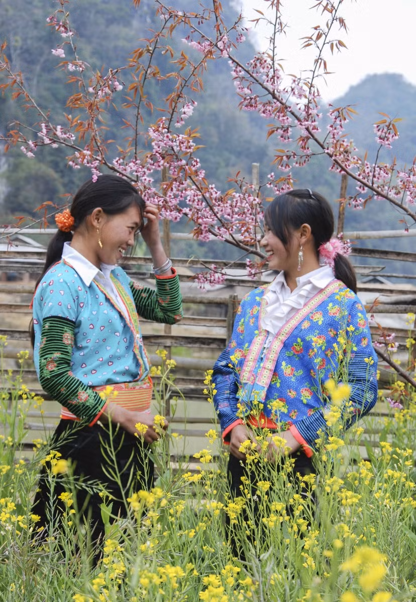 Từ lâu, Pằng Tớ Dày đã "góp mặt" trong cuộc sống của đồng bào Mông Tây Bắc.