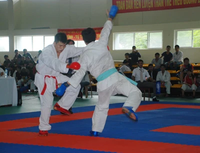 Khai mạc giải Karatedo và Cầu lông sinh viên, học sinh chuyên nghiệp toàn quốc 