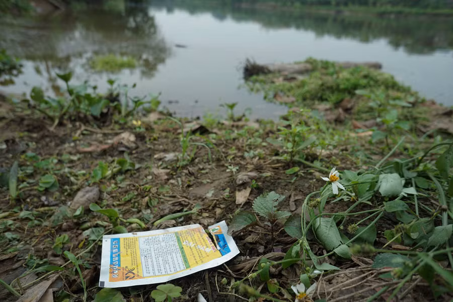 Vỏ một loại phân bón giúp ra nhiều hoa, đồng loạt, quả to, mập và hoa trái vụ... vứt bên bờ ao thả cá gần đồng ruộng.