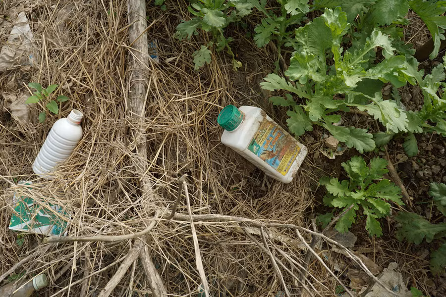 Hiện tượng vứt vỏ bao bì thuốc BVTV cũng rất phổ biến, trong ảnh là vỏ loại thuốc diệt cỏ cùng nhiều loại khác sau khi sử dụng bị vứt bỏ bên luống rau.